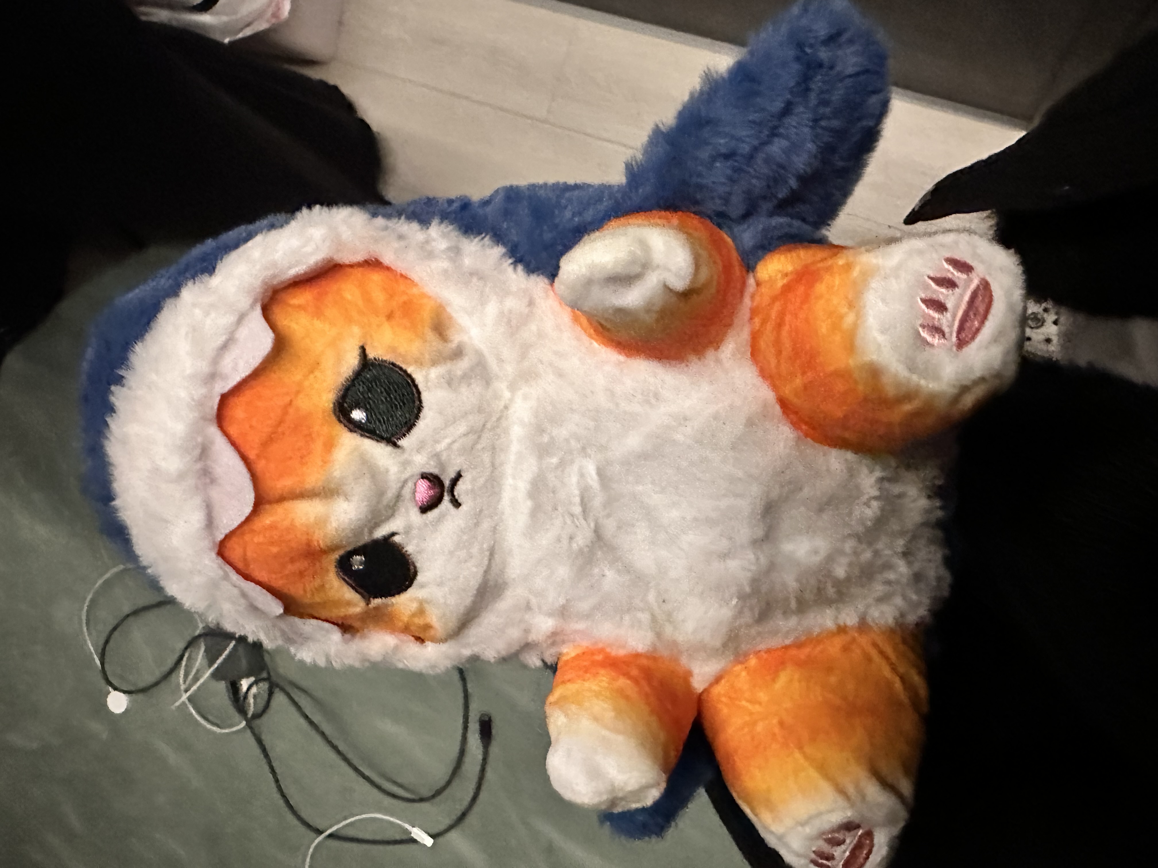 кошка и акула